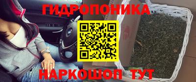 шишки Мариинск