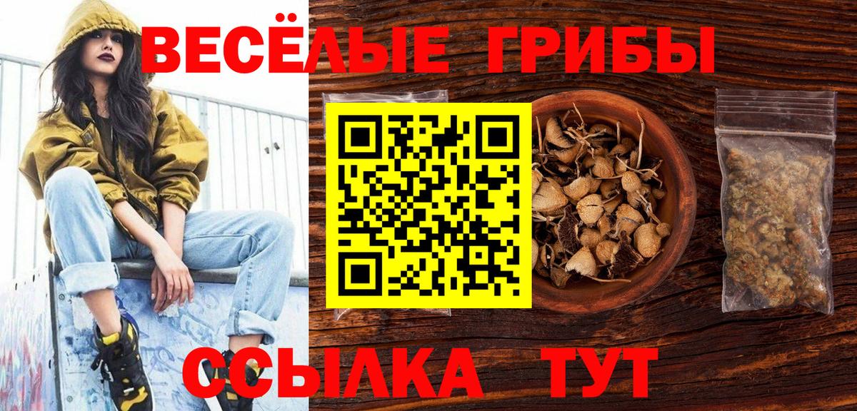 Галлюциногенные грибы прущие грибы Дивногорск