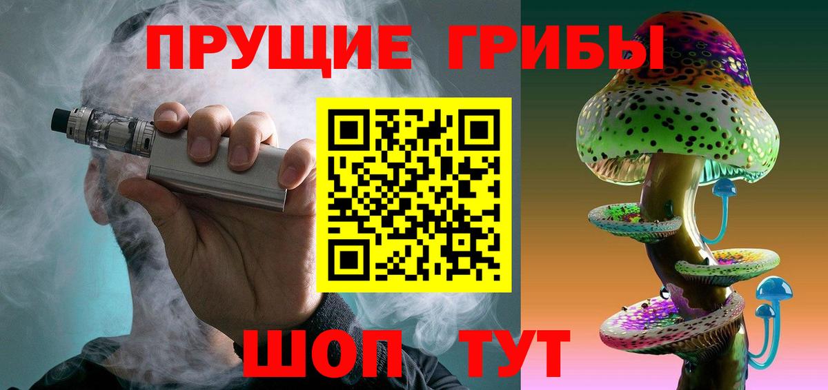 Дивногорск  Галлюциногенные грибы прущие грибы  Вход с VPN 