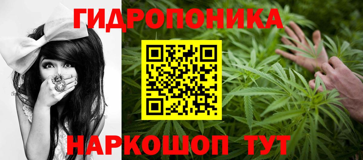 Бошки Шишки конопля  Марихуана марихуана  Вход с VPN  Канабис VHQ  Дивногорск  Бошки Шишки Bruce Banner 